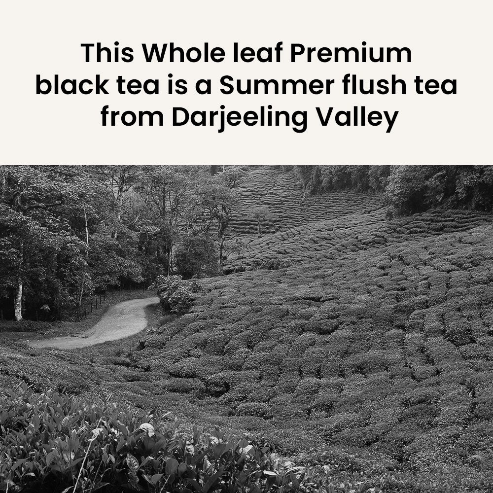 Retro Tea Culture – Whole leaf premium black tea