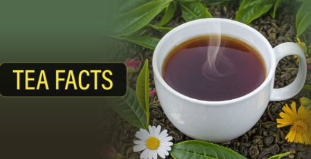 Tea Facts